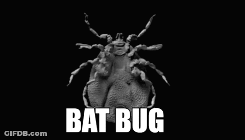 A Black And White Photo Of A Bat Bug On A Black Background With The Words Bat Bug Written On It . GIF