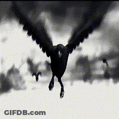 A Black And White Photo Of A Bird Flying In The Clouds GIF