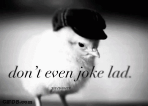 A Black And White Photo Of A Bird Wearing A Hat With The Words " Don 'T Even Joke Lad " GIF