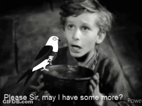 A Black And White Photo Of A Boy And A Bird With The Caption " Please Sir May I Have Some More Poe " GIF