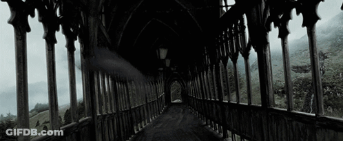 A Black And White Photo Of A Bridge With A Lot Of Windows And A Person Walking Down It . GIF