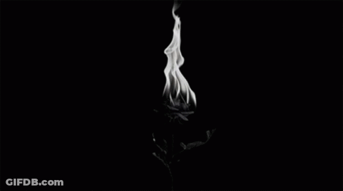 A Black And White Photo Of A Burning Flower With Smoke Coming Out Of It . GIF