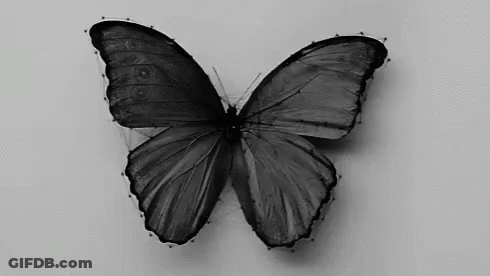 A Black And White Photo Of A Butterfly Surrounded By Lines And Dots . GIF