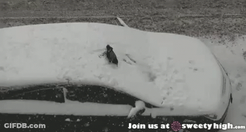 A Black And White Photo Of A Car Covered In Snow And The Words Join Us At Sweety High.com GIF