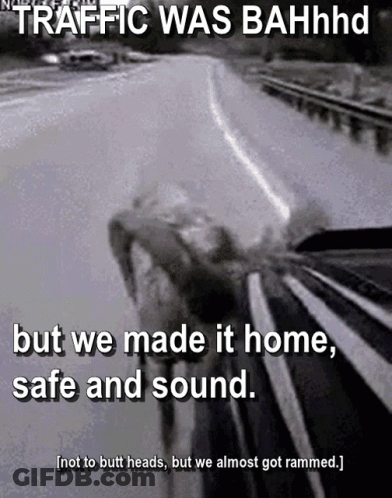 A Black And White Photo Of A Car On A Highway With The Caption Traffic Was Bahhhd But We Made It Home Safe And Sound . GIF