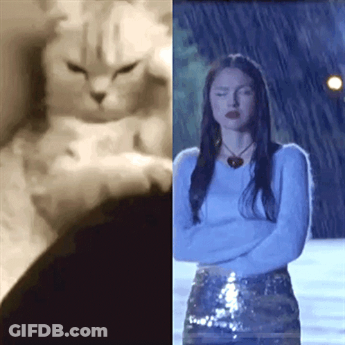 A Black And White Photo Of A Cat And A Woman With Their Arms Crossed GIF