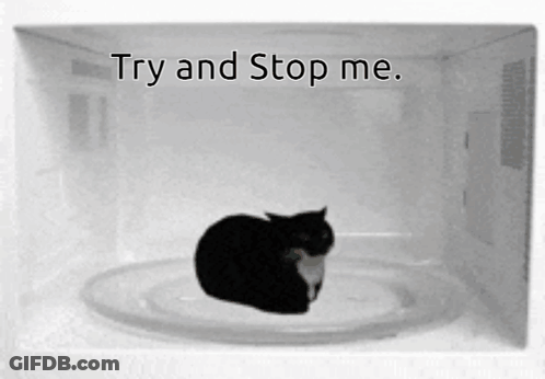 A Black And White Photo Of A Cat In A Microwave With The Words " Try And Stop Me " Above It GIF