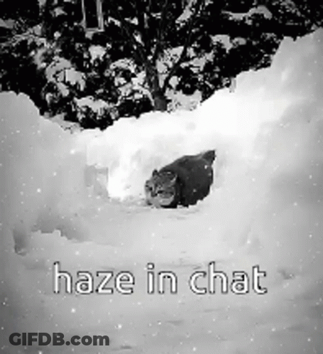 A Black And White Photo Of A Cat In The Snow With The Words Haze In Chat . GIF