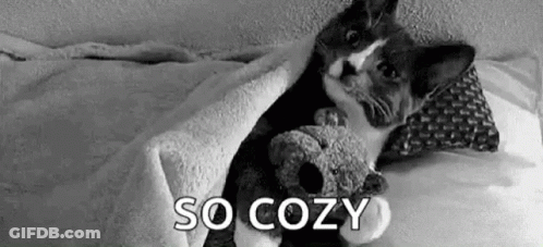 A Black And White Photo Of A Cat Laying In Bed With A Teddy Bear . GIF