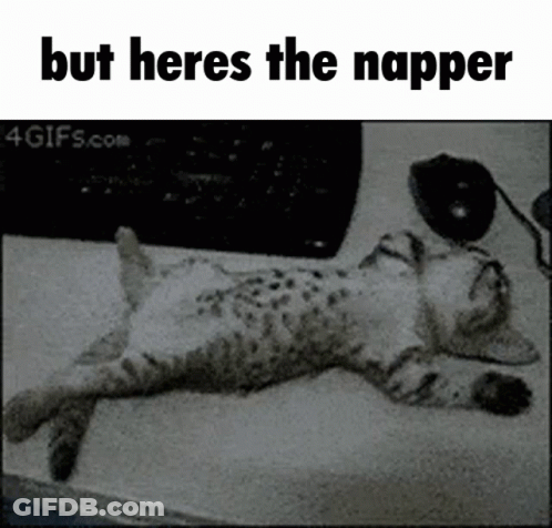 A Black And White Photo Of A Cat Laying On A Table With The Caption But Heres The Napper GIF