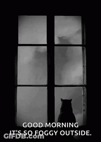 A Black And White Photo Of A Cat Looking Out A Window With The Caption Good Morning It 'S So Foggy Outside . GIF