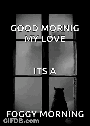 A Black And White Photo Of A Cat Looking Out A Window With The Words `` Good Morning My Love Its A Foggy Morning '' . GIF