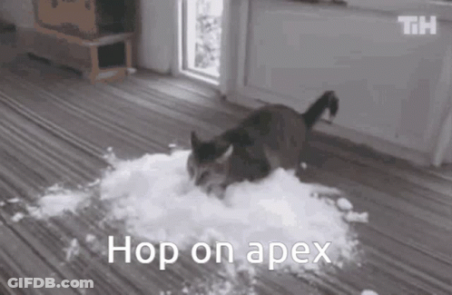 A Black And White Photo Of A Cat Playing In A Pile Of Snow . GIF