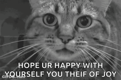 A Black And White Photo Of A Cat 'S Face With The Words `` Hope Ur Happy With Yourself You Theif Of Joy '' . GIF