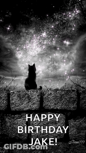 A Black And White Photo Of A Cat Sitting On A Stone Wall Looking At The Stars . GIF