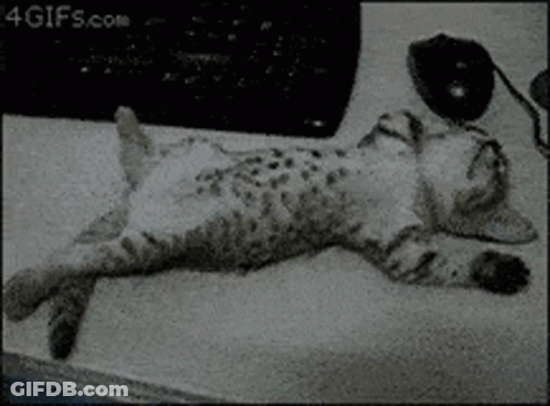 A Black And White Photo Of A Cat Sleeping On A Desk GIF