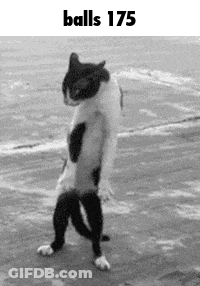 A Black And White Photo Of A Cat Standing On Its Hind Legs With The Words `` Balls 175 '' Above It . GIF