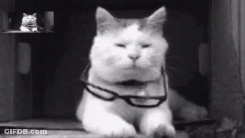 A Black And White Photo Of A Cat Wearing Glasses On Its Neck . GIF