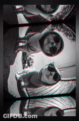 A Black And White Photo Of A Cat With Sunglasses On GIF