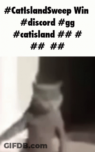 A Black And White Photo Of A Cat With The Caption #Catslandsweep Win #Discord #Gg #Catsland ###### GIF