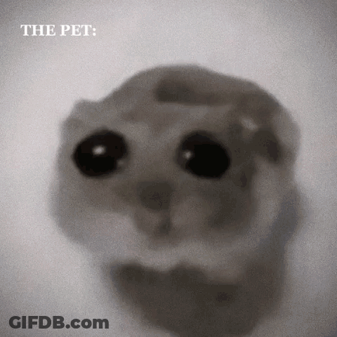 A Black And White Photo Of A Cat With The Caption " The Pet " Above It GIF