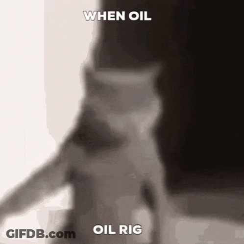 A Black And White Photo Of A Cat With The Caption When Oil Oil Rig . GIF
