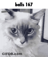 A Black And White Photo Of A Cat With The Words `` Balls 167 '' Written Above It . GIF