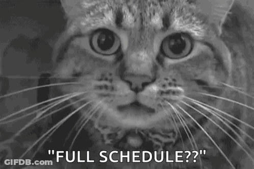 A Black And White Photo Of A Cat With The Words `` Full Schedule ? '' Written On It . GIF