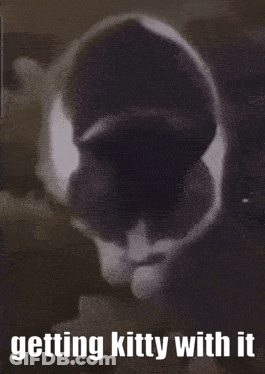 A Black And White Photo Of A Cat With The Words Getting Kitty With It GIF
