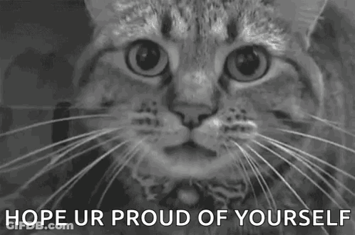 A Black And White Photo Of A Cat With The Words `` Hope Ur Proud Of Yourself '' Above It . GIF