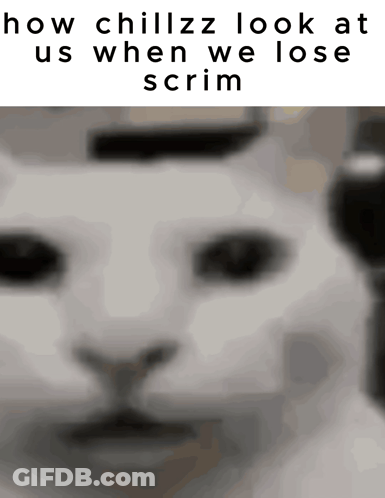 A Black And White Photo Of A Cat With The Words How Chillzz Look At Us When We Lose Scrim GIF