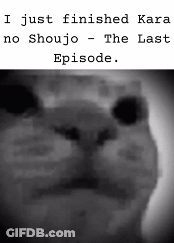 A Black And White Photo Of A Cat With The Words " I Just Finished Kara No Shoujo - The Last Episode " Below It GIF