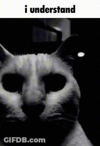 A Black And White Photo Of A Cat With The Words I Understand Below It GIF