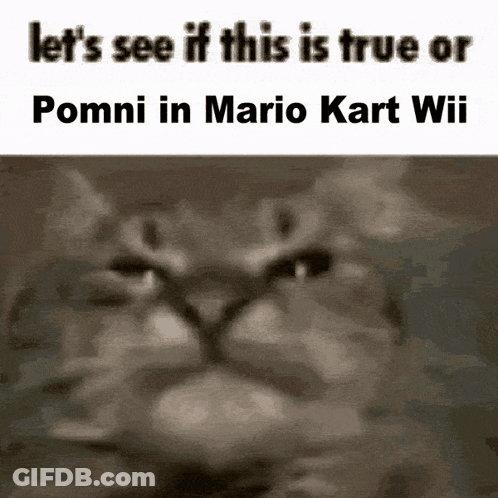 A Black And White Photo Of A Cat With The Words Let 'S See If This Is True Or Pommi In Mario Kart Wii GIF