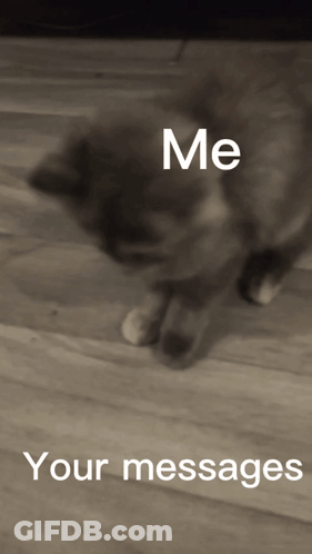 A Black And White Photo Of A Cat With The Words " Me Your Messages " Below It GIF