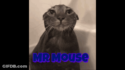 A Black And White Photo Of A Cat With The Words Mr Mouse On The Bottom GIF