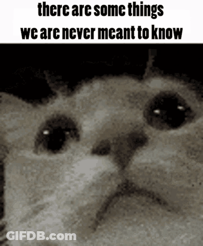 A Black And White Photo Of A Cat With The Words There Are Some Things We Are Never Meant To Know GIF