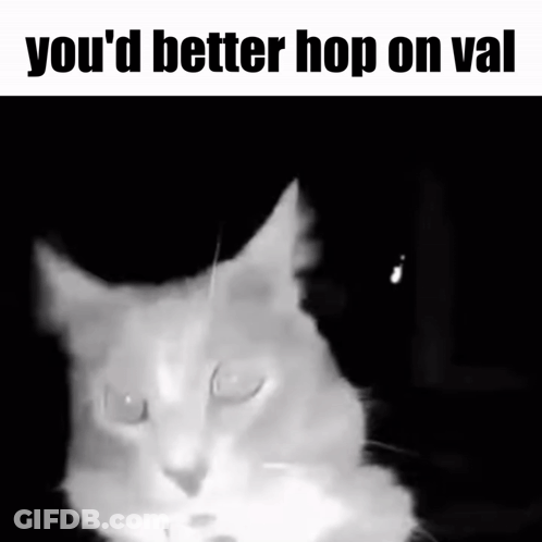 A Black And White Photo Of A Cat With The Words " You 'D Better Hop On Val " Above It GIF