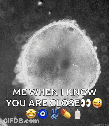 A Black And White Photo Of A Cell With Emojis Around It And The Caption Me When I Know You Are Close GIF