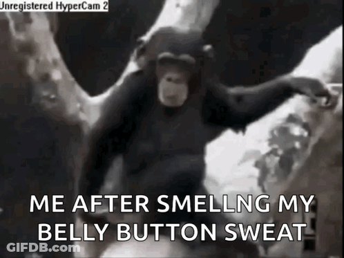 A Black And White Photo Of A Chimpanzee With The Words `` Me After Smelling My Belly Button Sweat '' GIF