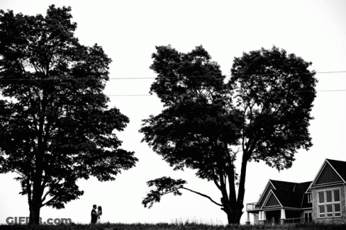 A Black And White Photo Of A Couple Standing Under Trees GIF