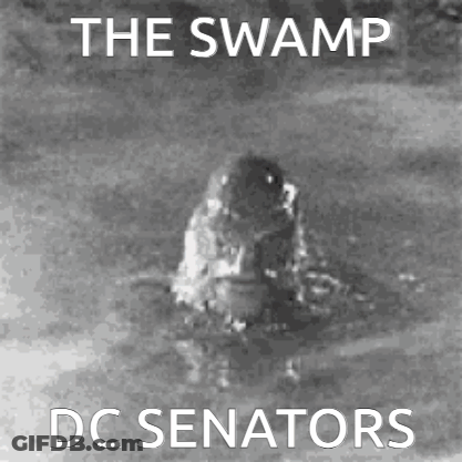 A Black And White Photo Of A Crocodile In The Water With The Words The Swamp Dc Senators GIF