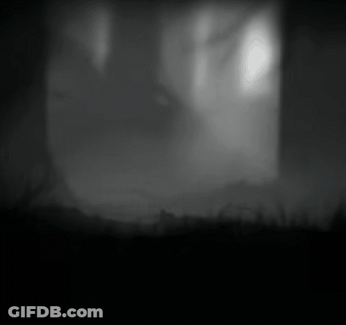 A Black And White Photo Of A Dark Forest With Trees In The Background GIF