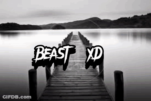 A Black And White Photo Of A Dock With The Words Beast Xd Written On It GIF