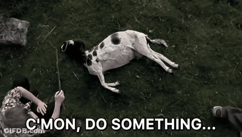 A Black And White Photo Of A Dog Laying On The Ground With The Caption C Mon Do Something GIF