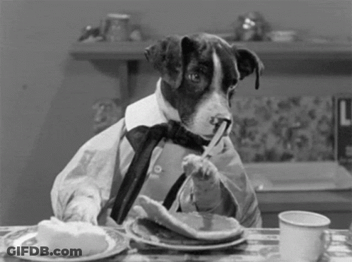 A Black And White Photo Of A Dog Wearing A Tie Eating Pancakes . GIF