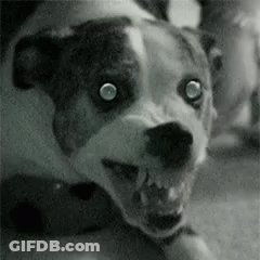 A Black And White Photo Of A Dog With Sharp Teeth And Glowing Eyes . GIF
