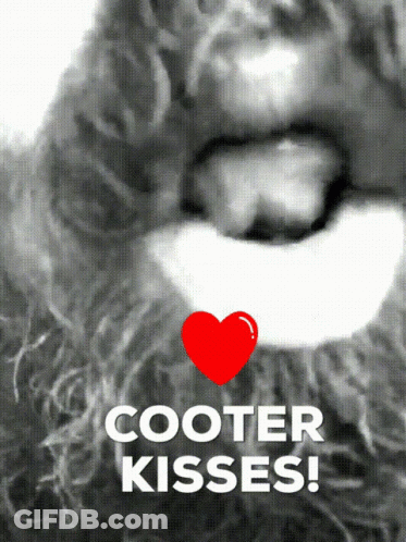 A Black And White Photo Of A Dog With The Words Cooter Kisses On The Bottom GIF
