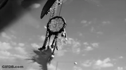 A Black And White Photo Of A Dream Catcher Hanging From A Tree With A Cloudy Sky In The Background . GIF