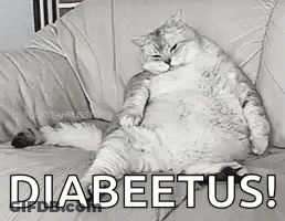 A Black And White Photo Of A Fat Cat Sitting On A Couch With The Words `` Diabeetus '' Written On It . GIF
